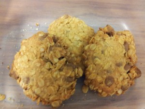 Oat and choc chip cookies